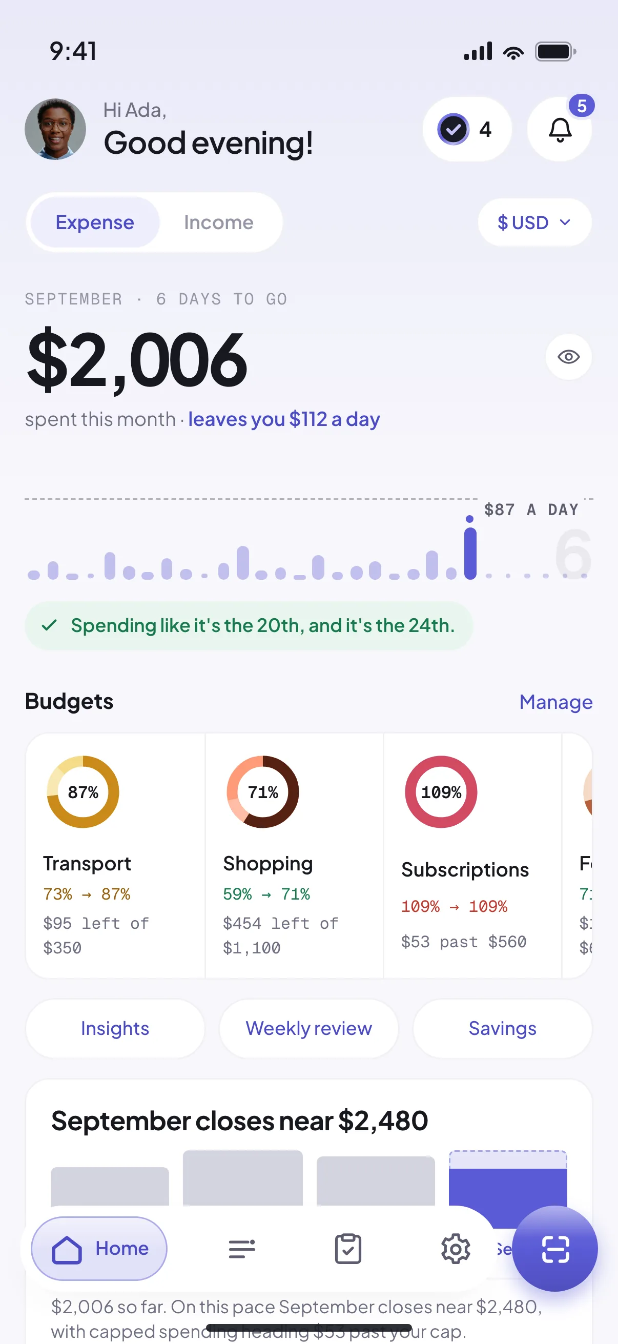Riffl’s home screen with Expense and Income views, a US dollar book, daily spending allowance and category budgets.