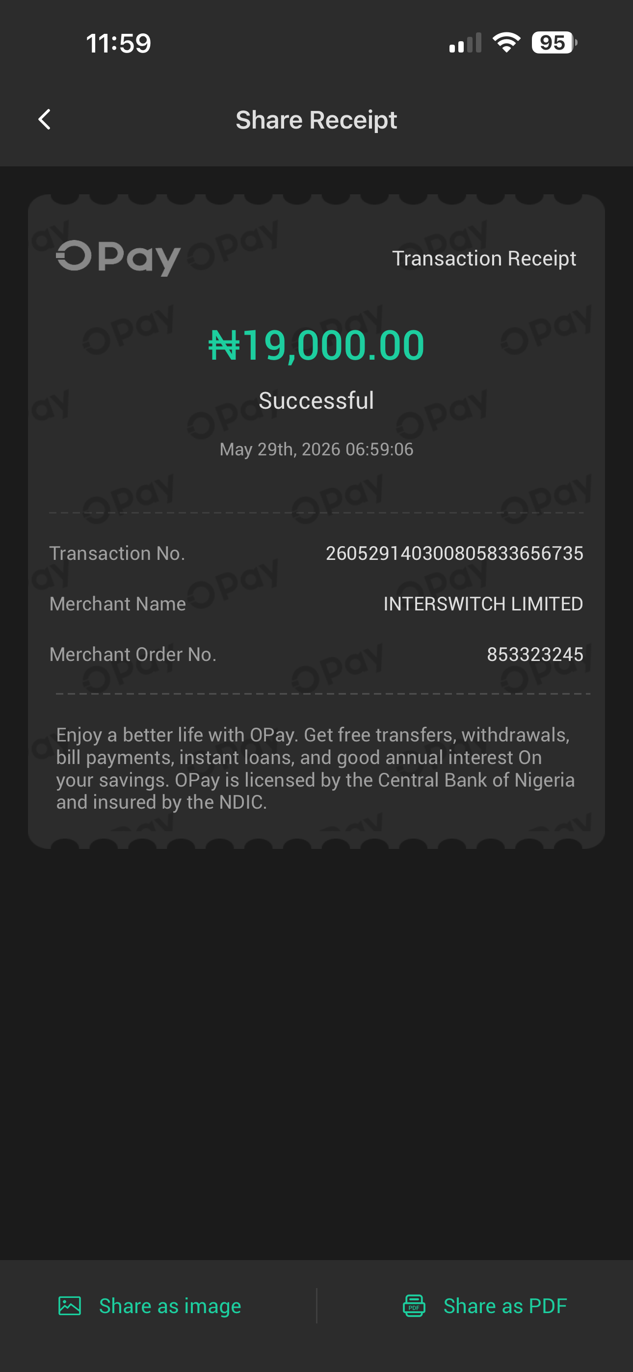 OPay transaction receipt, ₦19,000